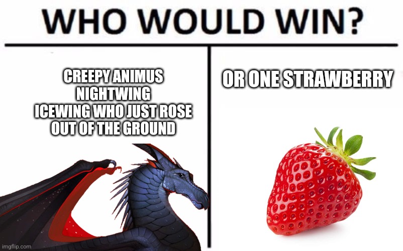 Who would win? Darkstalker or a strawberry | OR ONE STRAWBERRY; CREEPY ANIMUS NIGHTWING ICEWING WHO JUST ROSE OUT OF THE GROUND | image tagged in memes,who would win,wings of fire | made w/ Imgflip meme maker