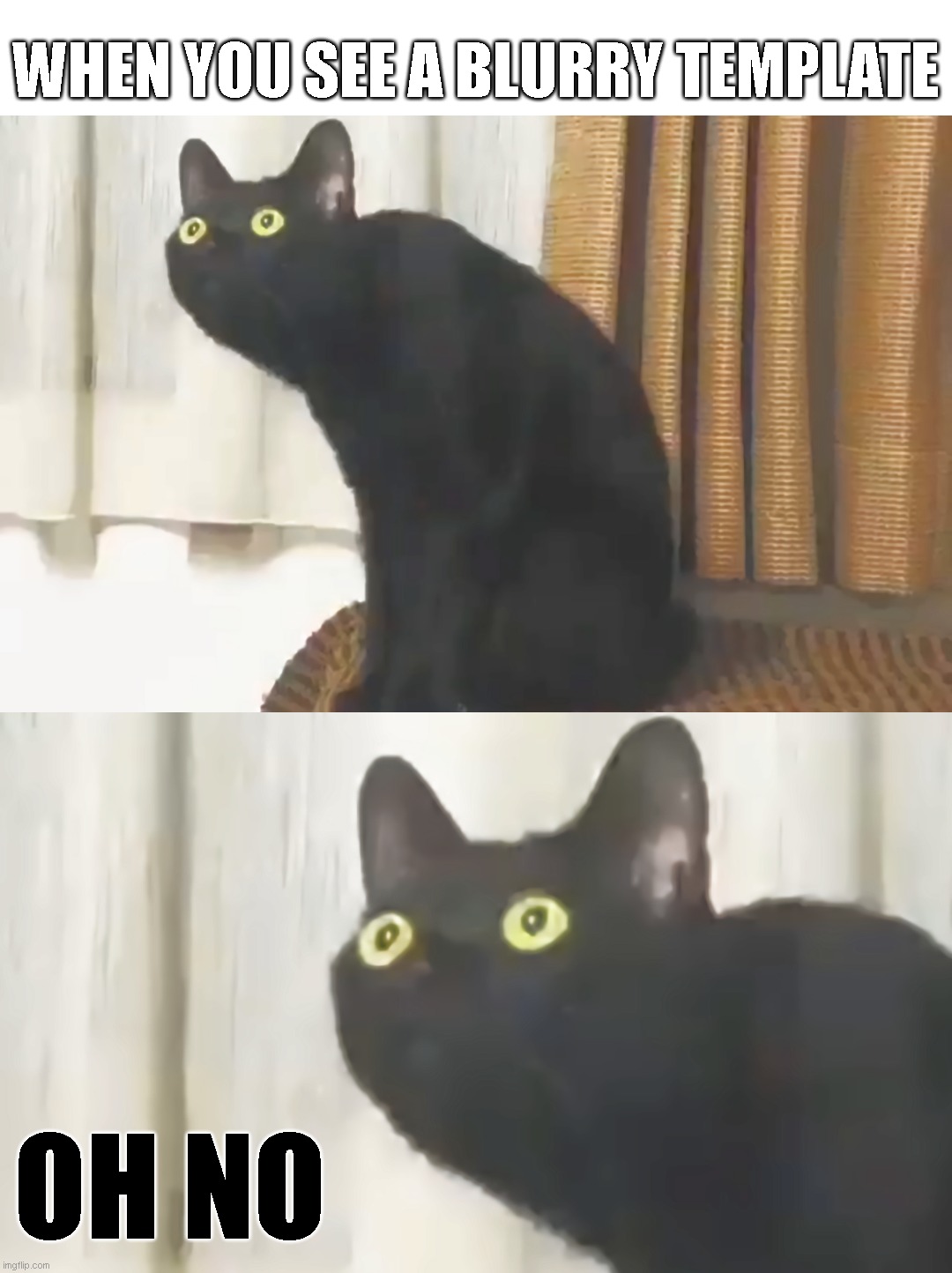 Fixing yet another meme template (Oh No Cat, upscaled) | WHEN YOU SEE A BLURRY TEMPLATE; OH NO | image tagged in oh no cat upscaled blank | made w/ Imgflip meme maker