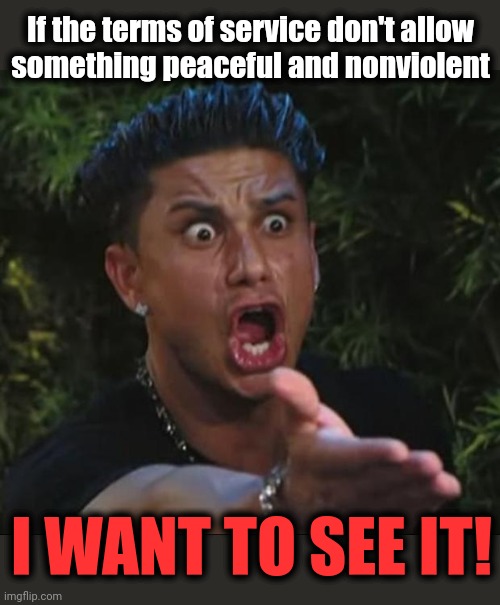 DJ Pauly D Meme | If the terms of service don't allow
something peaceful and nonviolent I WANT TO SEE IT! | image tagged in memes,dj pauly d | made w/ Imgflip meme maker