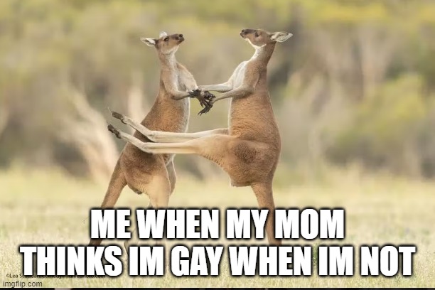 When my mom thinks im gay when im not | ME WHEN MY MOM THINKS IM GAY WHEN IM NOT | image tagged in memes | made w/ Imgflip meme maker
