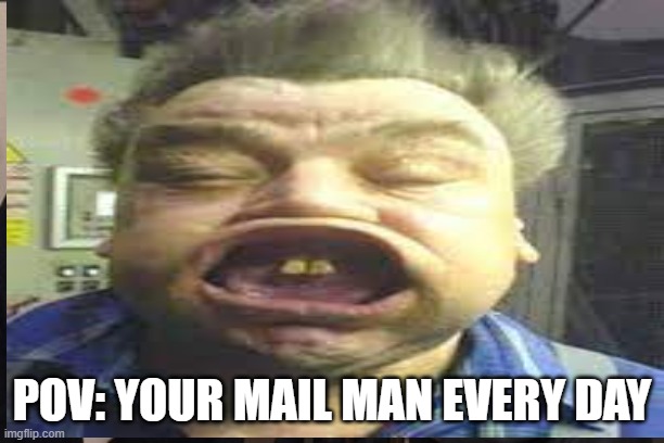 pov your mail man | POV: YOUR MAIL MAN EVERY DAY | image tagged in funny memes | made w/ Imgflip meme maker