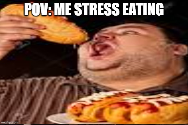 stress eating | POV: ME STRESS EATING | image tagged in funny memes | made w/ Imgflip meme maker