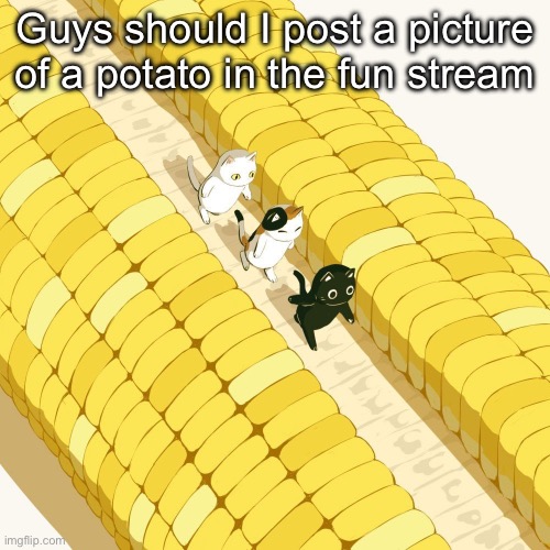 Avogado6 | Guys should I post a picture of a potato in the fun stream | image tagged in avogado6 | made w/ Imgflip meme maker