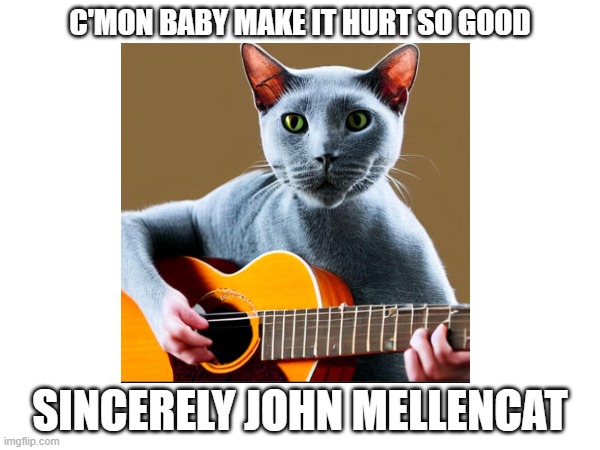 Singing the song of his people | C'MON BABY MAKE IT HURT SO GOOD; SINCERELY JOHN MELLENCAT | image tagged in cursed image,cats,cat,cursed cat | made w/ Imgflip meme maker