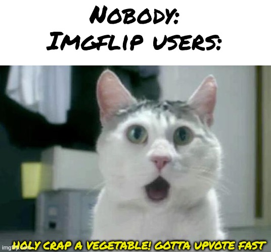 Nobody knows what "upvote begging" is anymore | Nobody:
Imgflip users:; HOLY CRAP A VEGETABLE! GOTTA UPVOTE FAST | image tagged in memes,omg cat | made w/ Imgflip meme maker