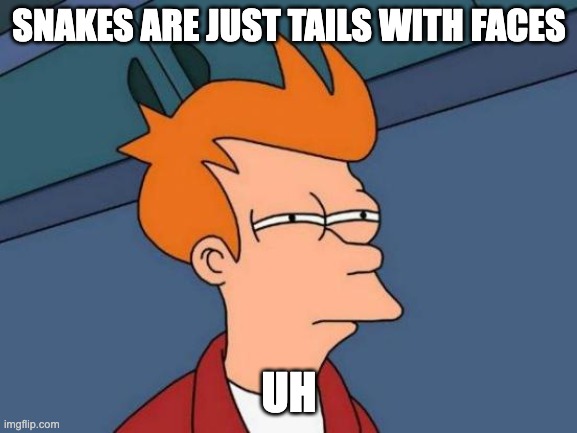 Technically true | SNAKES ARE JUST TAILS WITH FACES; UH | image tagged in memes,futurama fry | made w/ Imgflip meme maker