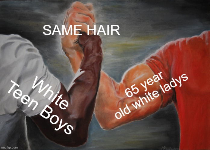 ITS THE SAME HAIR |  SAME HAIR; 65 year old white ladys; White Teen Boys | image tagged in memes,epic handshake,grandma,hair,teenagers,boys | made w/ Imgflip meme maker