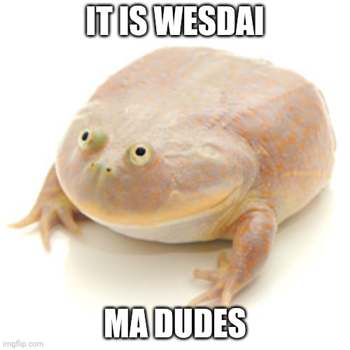 It is wednesday my dudes | IT IS WESDAI; MA DUDES | image tagged in it is wednesday my dudes | made w/ Imgflip meme maker