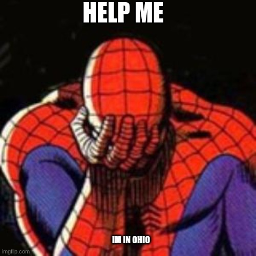 Sad Spiderman Meme | HELP ME; IM IN OHIO | image tagged in memes,sad spiderman,spiderman | made w/ Imgflip meme maker