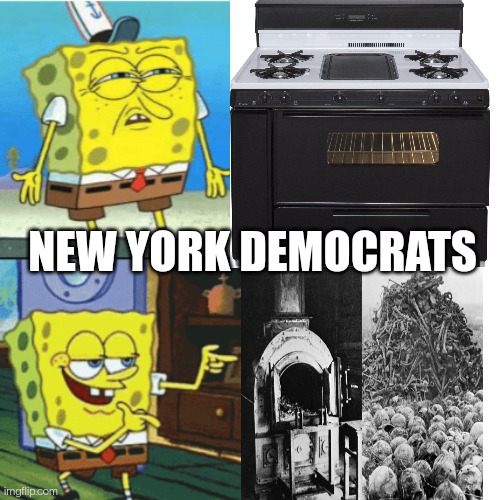 Ovencrat | NEW YORK DEMOCRATS | image tagged in new york,democrats,oven,holocaust | made w/ Imgflip meme maker
