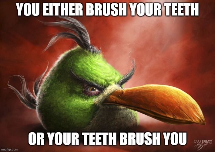 Realistic Angry Bird | YOU EITHER BRUSH YOUR TEETH; OR YOUR TEETH BRUSH YOU | image tagged in realistic angry bird | made w/ Imgflip meme maker