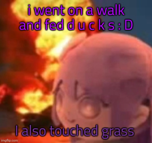 They love o a t s | i went on a walk and fed d u c k s : D; I also touched grass | image tagged in msmg | made w/ Imgflip meme maker