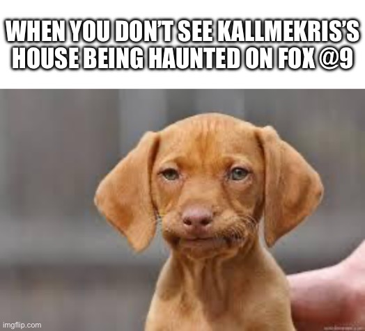 Kallmekris house @9 | WHEN YOU DON’T SEE KALLMEKRIS’S HOUSE BEING HAUNTED ON FOX @9 | image tagged in disappointed dog,kallmekris | made w/ Imgflip meme maker