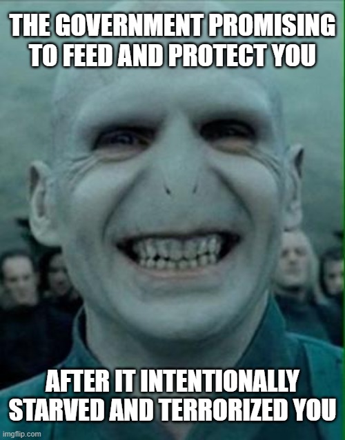 Voldemort Grin | THE GOVERNMENT PROMISING TO FEED AND PROTECT YOU; AFTER IT INTENTIONALLY STARVED AND TERRORIZED YOU | image tagged in voldemort grin,government,food supply | made w/ Imgflip meme maker