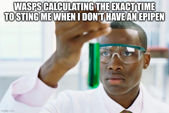 I couldn't find the meme template I wanted | WASPS CALCULATING THE EXACT TIME TO STING ME WHEN I DON'T HAVE AN EPIPEN | image tagged in chemistry meme | made w/ Imgflip meme maker