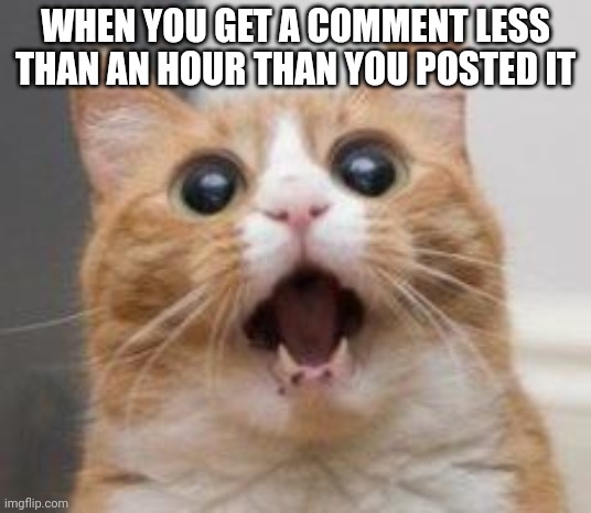 Its true. Happened to me | WHEN YOU GET A COMMENT LESS THAN AN HOUR THAN YOU POSTED IT | image tagged in wow | made w/ Imgflip meme maker