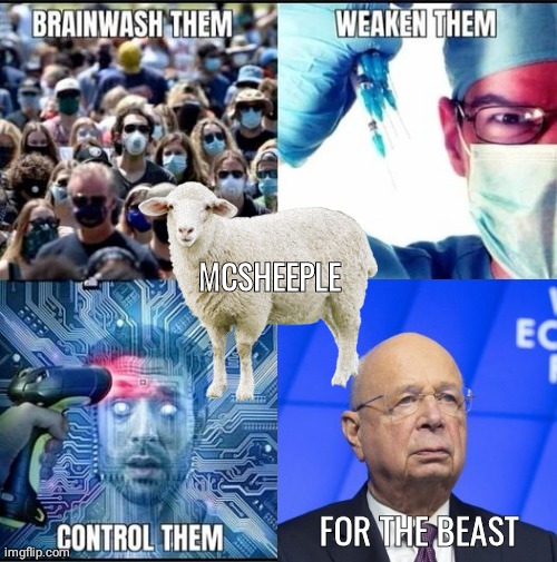 Manipulate McSheeple for the Beast | MCSHEEPLE | image tagged in nwo | made w/ Imgflip meme maker
