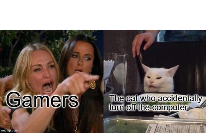 Woman Yelling At Cat | Gamers; The cat who accidentally turn off the computer | image tagged in memes,woman yelling at cat | made w/ Imgflip meme maker