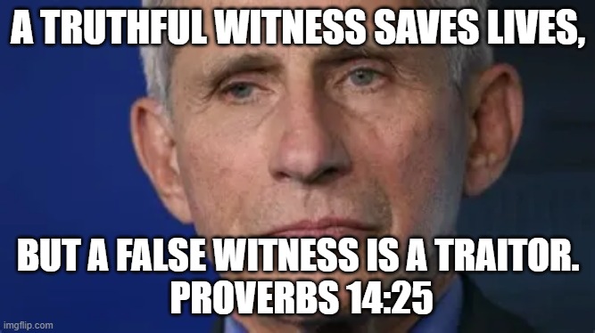 A TRUTHFUL WITNESS SAVES LIVES, BUT A FALSE WITNESS IS A TRAITOR.
 PROVERBS 14:25 | image tagged in fauci | made w/ Imgflip meme maker
