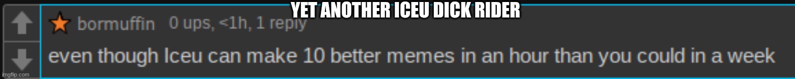 YET ANOTHER ICEU DICK RIDER | made w/ Imgflip meme maker