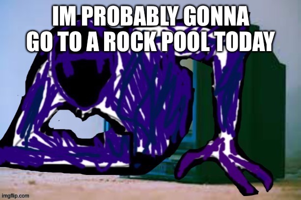 Glitch tv | IM PROBABLY GONNA GO TO A ROCK POOL TODAY | image tagged in glitch tv | made w/ Imgflip meme maker