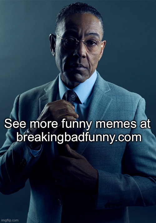 Gn chats | See more funny memes at 
breakingbadfunny.com | image tagged in gus fring we are not the same | made w/ Imgflip meme maker