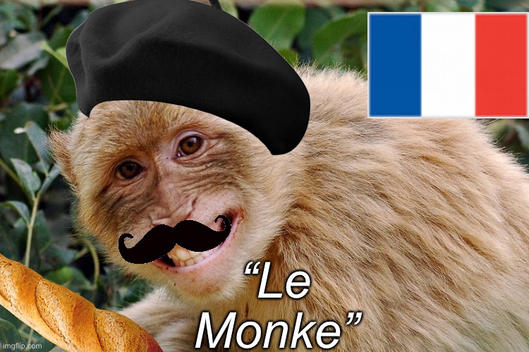 Le Monke | “Le Monke” | image tagged in french,fresh memes,fun,fun stream,monke | made w/ Imgflip meme maker