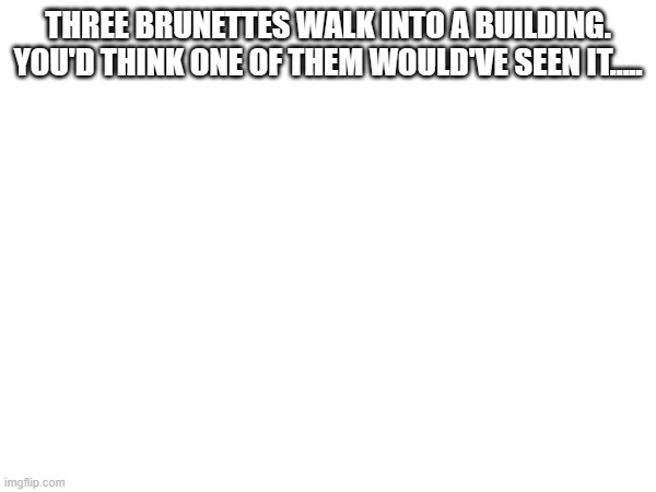 THREE BRUNETTES WALK INTO A BUILDING. YOU'D THINK ONE OF THEM WOULD'VE SEEN IT..... | made w/ Imgflip meme maker