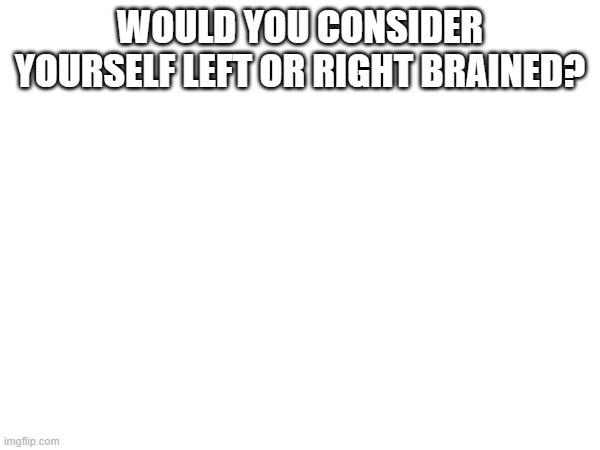 WOULD YOU CONSIDER YOURSELF LEFT OR RIGHT BRAINED? | made w/ Imgflip meme maker