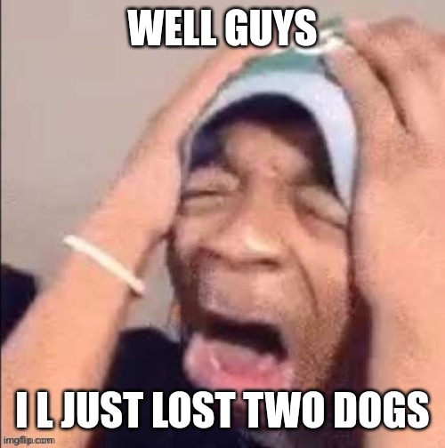 NOOOOOOOOOOOOOOOOOOOOOOOOOOOOOOOOOOOOOOOOOOOOOOOOOOOOOOOOOOOOOOO | WELL GUYS; I L JUST LOST TWO DOGS | image tagged in nooooooooooooooooooooooooooooooooooooooooooooooooooooooooooooooo | made w/ Imgflip meme maker