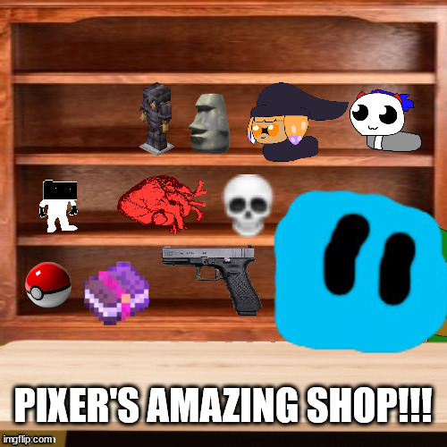 More stock will be added soon. | PIXER'S AMAZING SHOP!!! | image tagged in derp link empty shelves shop-s top 4sale template | made w/ Imgflip meme maker