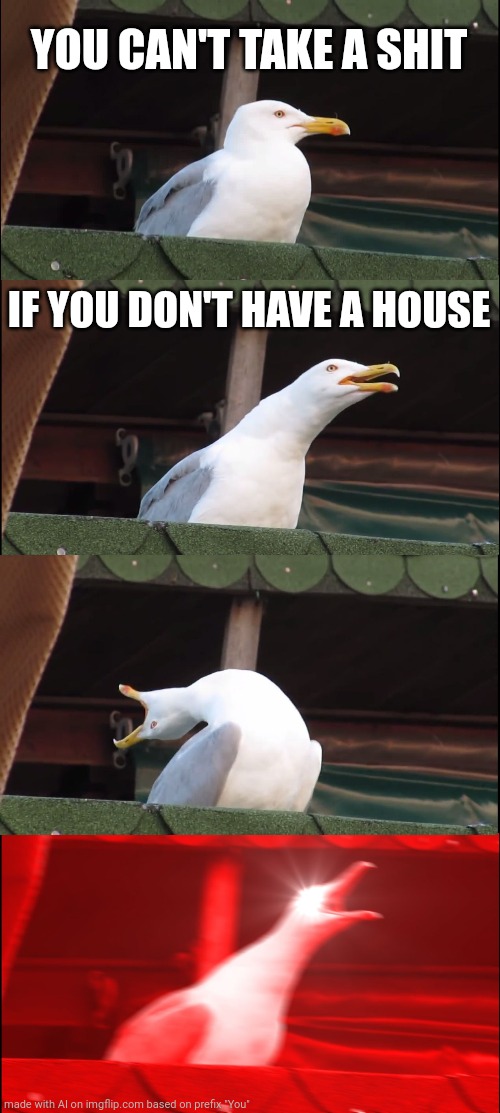 Inhaling Seagull | YOU CAN'T TAKE A SHIT; IF YOU DON'T HAVE A HOUSE | image tagged in memes,inhaling seagull | made w/ Imgflip meme maker