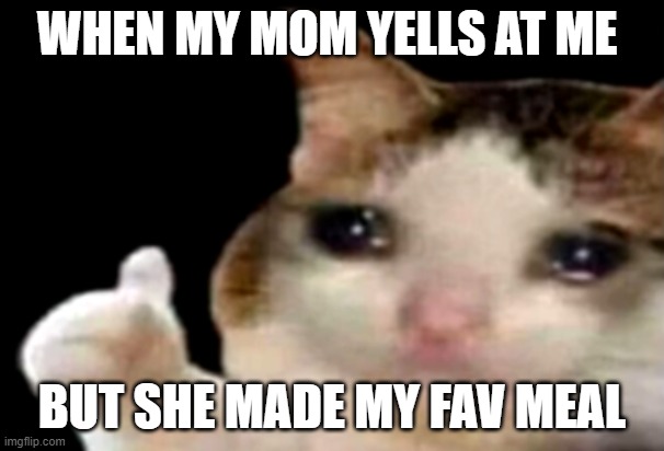 Sad cat thumbs up | WHEN MY MOM YELLS AT ME; BUT SHE MADE MY FAV MEAL | image tagged in sad cat thumbs up | made w/ Imgflip meme maker
