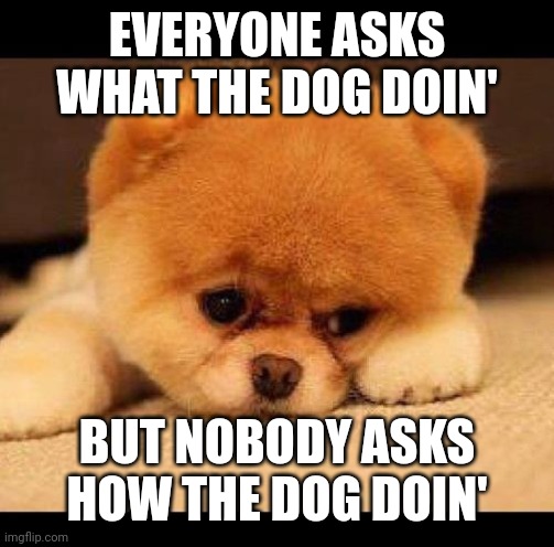 sad dog | EVERYONE ASKS WHAT THE DOG DOIN'; BUT NOBODY ASKS HOW THE DOG DOIN' | image tagged in sad dog | made w/ Imgflip meme maker