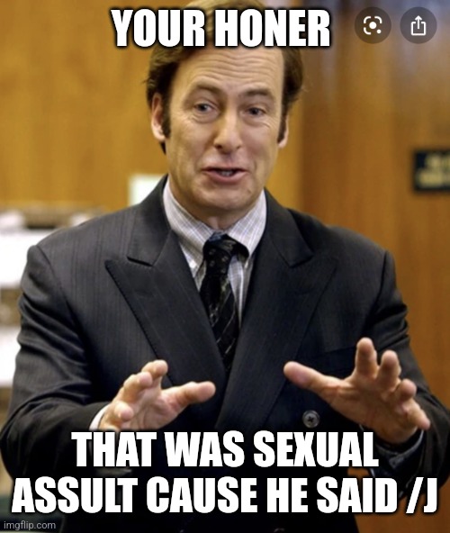 Your Honor, | YOUR HONER THAT WAS SEXUAL ASSULT CAUSE HE SAID /J | image tagged in your honor | made w/ Imgflip meme maker