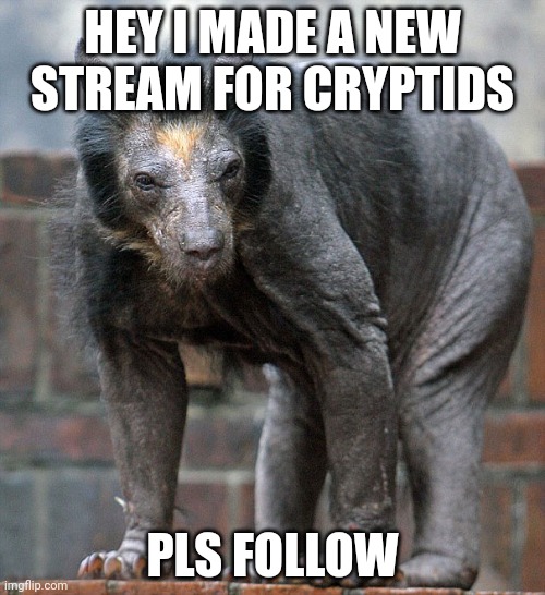 Imgflip.com/m/cryptids | HEY I MADE A NEW STREAM FOR CRYPTIDS; PLS FOLLOW | image tagged in slavic chupacabra | made w/ Imgflip meme maker