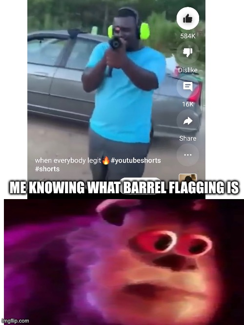 Hi | ME KNOWING WHAT BARREL FLAGGING IS | image tagged in funny meme,fun stream,sully | made w/ Imgflip meme maker