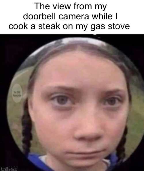 Bugs also fart | The view from my doorbell camera while I cook a steak on my gas stove | image tagged in politics lol,memes,derp | made w/ Imgflip meme maker