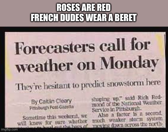 Roses are red | ROSES ARE RED
FRENCH DUDES WEAR A BERET | image tagged in memes | made w/ Imgflip meme maker