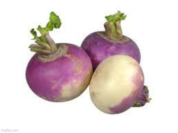 Turnip | image tagged in turnip | made w/ Imgflip meme maker