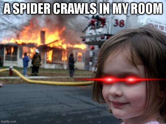 Disaster Girl Meme | A SPIDER CRAWLS IN MY ROOM | image tagged in memes,disaster girl | made w/ Imgflip meme maker
