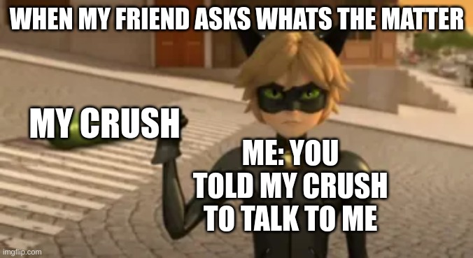 WHEN MY FRIEND ASKS WHATS THE MATTER; MY CRUSH; ME: YOU TOLD MY CRUSH TO TALK TO ME | image tagged in love and friendship | made w/ Imgflip meme maker
