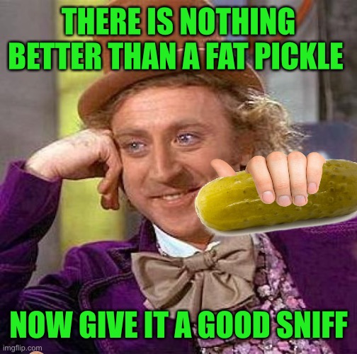 Creepy Condescending Wonka | THERE IS NOTHING BETTER THAN A FAT PICKLE; NOW GIVE IT A GOOD SNIFF | image tagged in memes,creepy condescending wonka | made w/ Imgflip meme maker