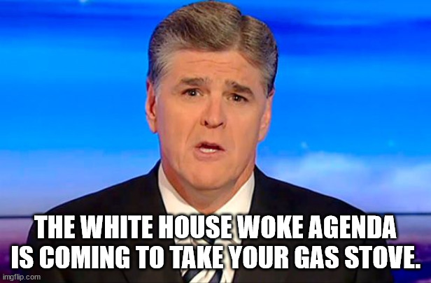 Sean Hannity Fox News | THE WHITE HOUSE WOKE AGENDA IS COMING TO TAKE YOUR GAS STOVE. | image tagged in sean hannity fox news | made w/ Imgflip meme maker