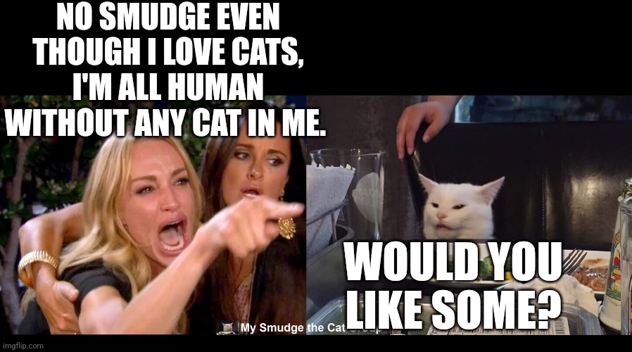 NO SMUDGE EVEN THOUGH I LOVE CATS, I'M ALL HUMAN WITHOUT ANY CAT IN ME. WOULD YOU LIKE SOME? | image tagged in smudge the cat | made w/ Imgflip meme maker