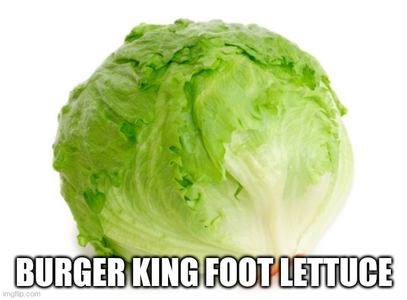 lettuce | BURGER KING FOOT LETTUCE | image tagged in lettuce | made w/ Imgflip meme maker