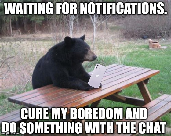 Bad Luck Bear | WAITING FOR NOTIFICATIONS. CURE MY BOREDOM AND DO SOMETHING WITH THE CHAT | image tagged in memes,bad luck bear | made w/ Imgflip meme maker