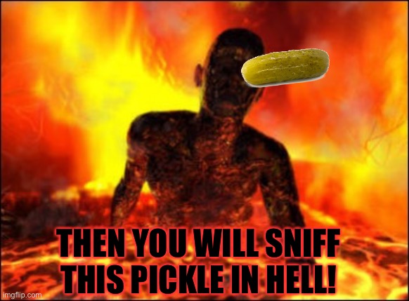 Burn in hell cop killer | THEN YOU WILL SNIFF THIS PICKLE IN HELL! | image tagged in burn in hell cop killer | made w/ Imgflip meme maker