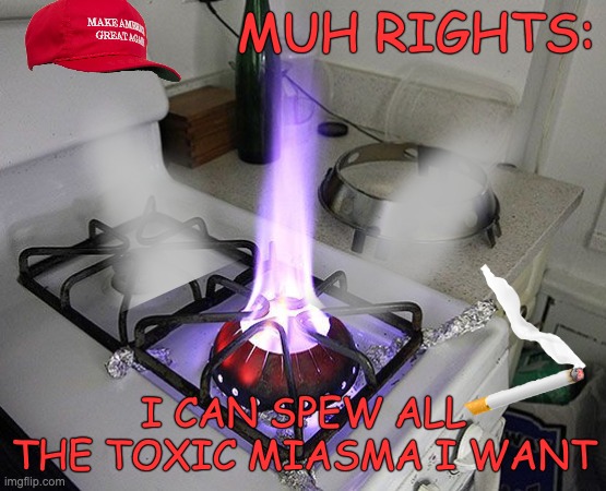 Wok gas burner stove | MUH RIGHTS: I CAN SPEW ALL THE TOXIC MIASMA I WANT | image tagged in wok gas burner stove | made w/ Imgflip meme maker