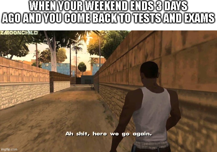 Here we go again | WHEN YOUR WEEKEND ENDS 3 DAYS AGO AND YOU COME BACK TO TESTS AND EXAMS | image tagged in here we go again | made w/ Imgflip meme maker